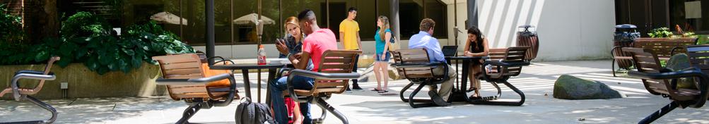 Photo of Penn State Brandywine's Library.